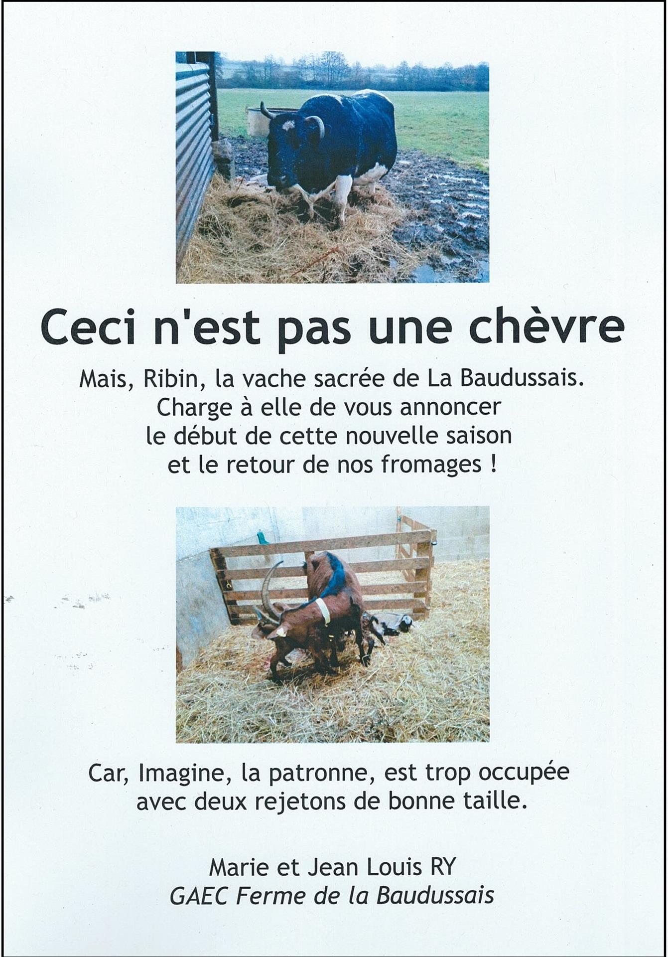 Les fromages de chèvre bios et locaux sont de retour Les fromages de chèvre bios et locaux sont de retour